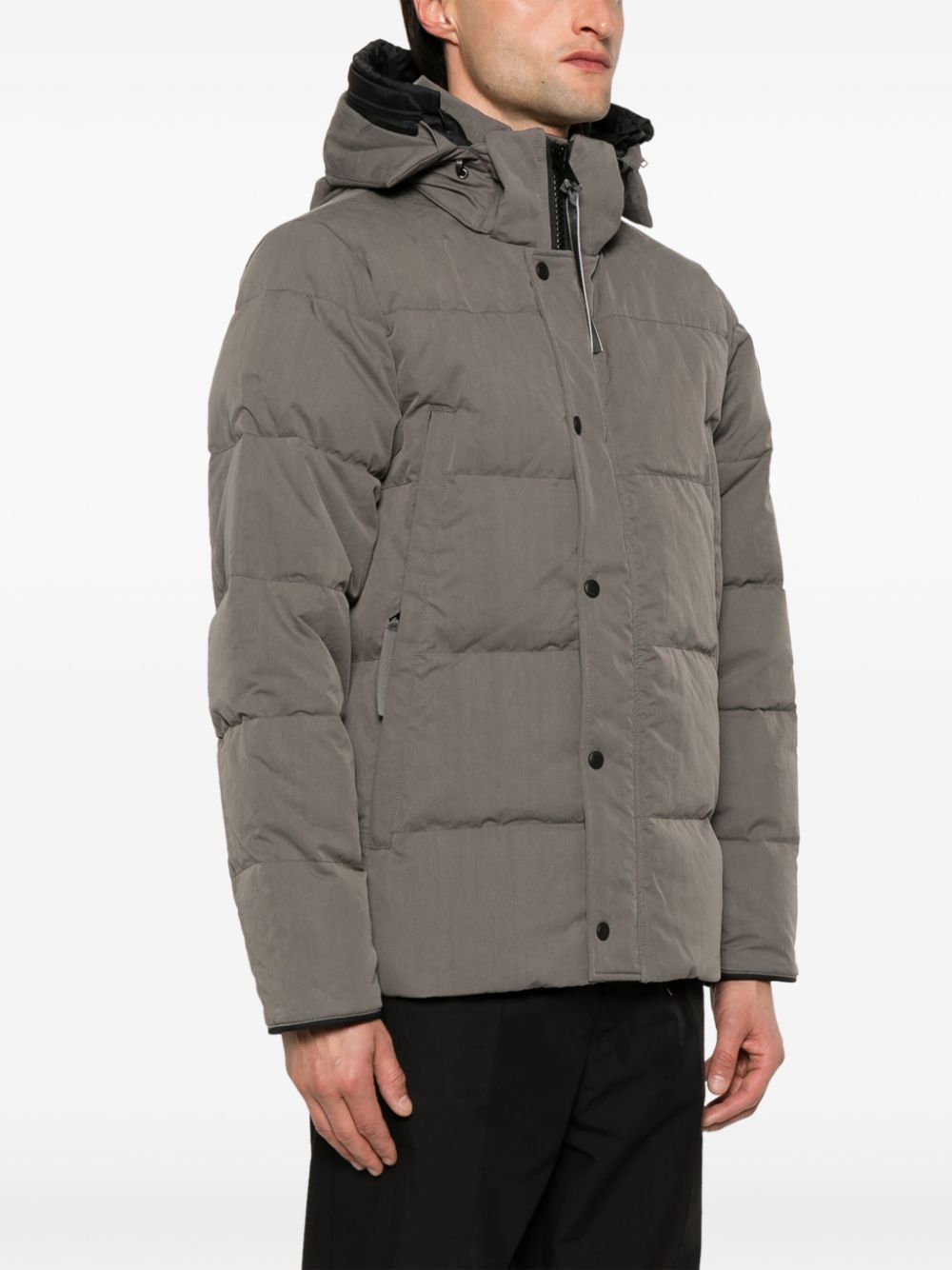 Canada Goose Coats Grey