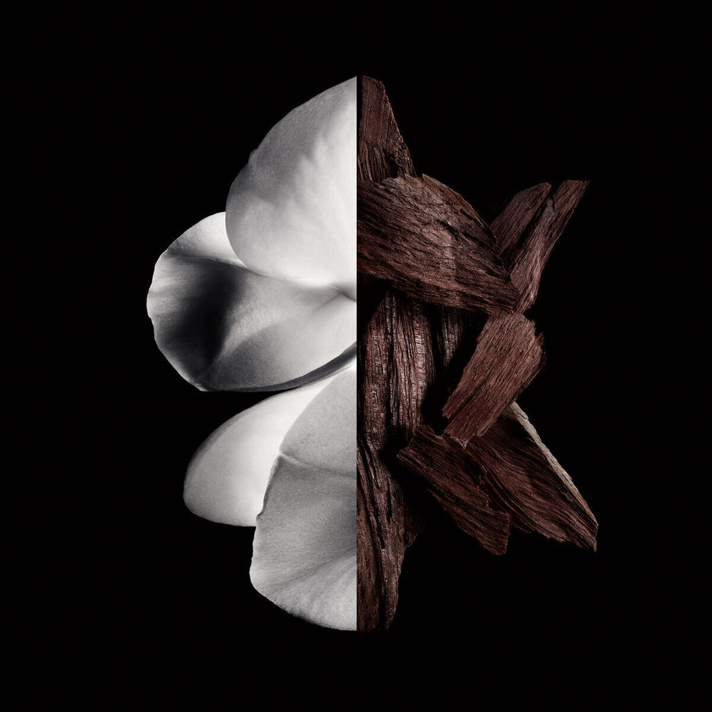 V3H29F747545892DF30CAB429BED0CC2928R6237557P2