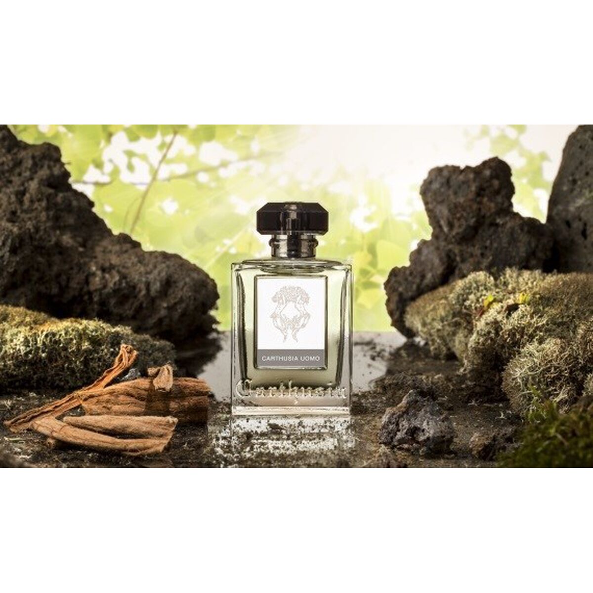 Men's Perfume Carthusia CARTHUSIA UOMO 100 mlBeauty, Perfumes and fragrancesCarthusiaSTIILI