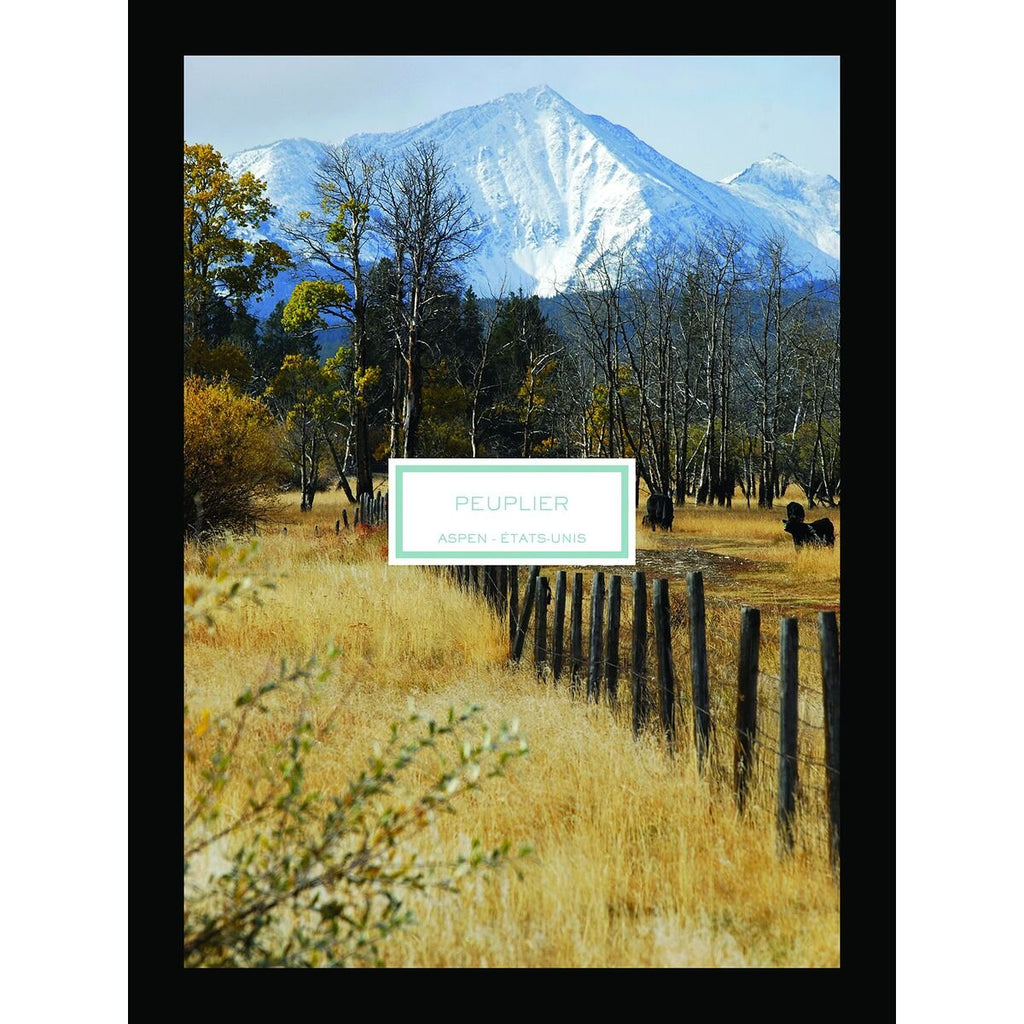 Scented Candle LaliqueBeauty, Perfumes and fragrancesLaliqueSTIILI