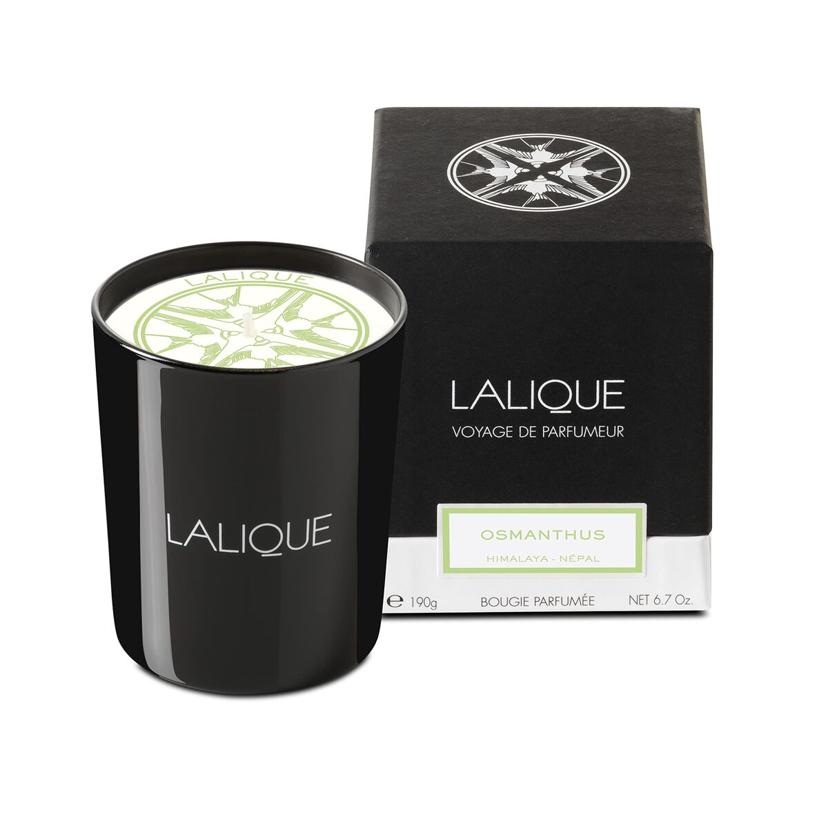 Scented Candle LaliqueBeauty, Perfumes and fragrancesLaliqueSTIILI