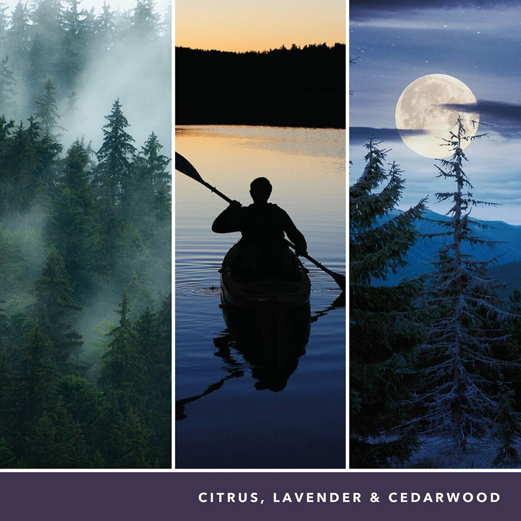 Scented Candle Yankee Candle 1629968EBeauty, Perfumes and fragrancesYankee CandleSTIILI