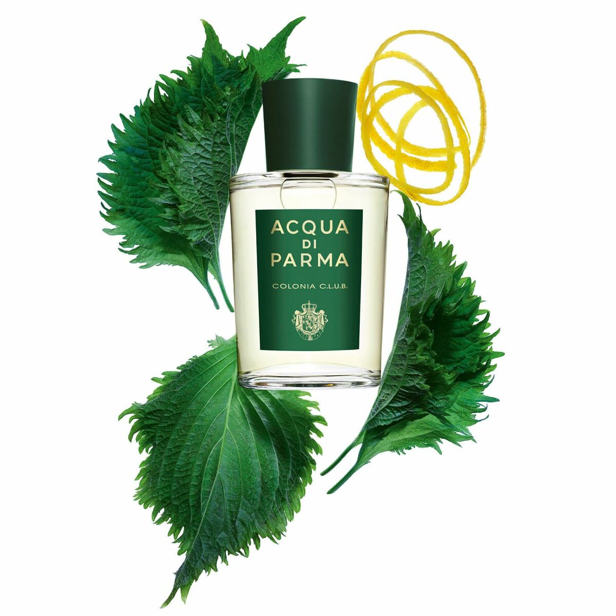 Unisex Perfume Acqua Di Parma Colonia Club EDC 100 ml 96 gBeauty, Perfumes and fragrancesAcqua Di ParmaSTIILI