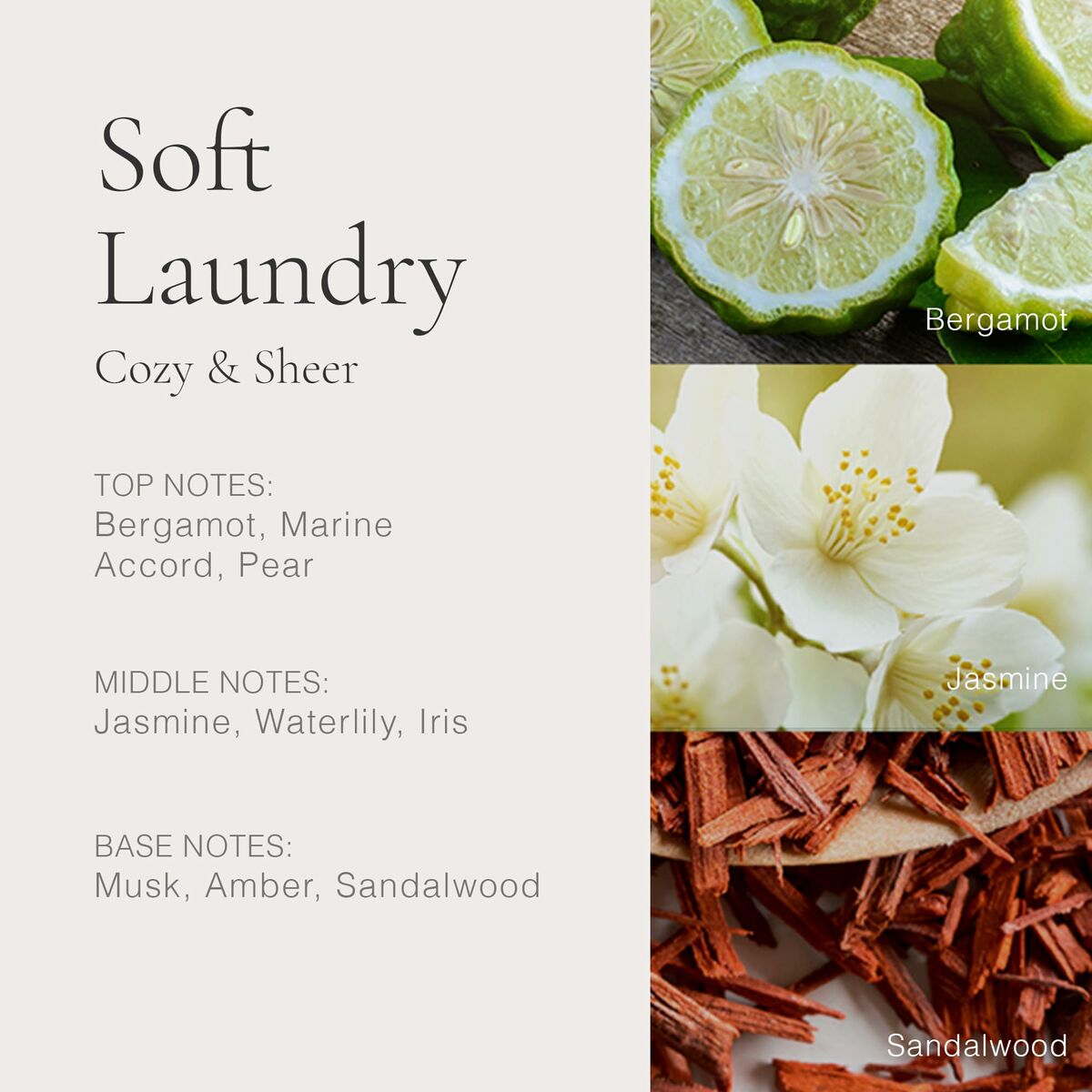 Unisex Perfume CleanBeauty, Perfumes and fragrancesCleanSTIILI