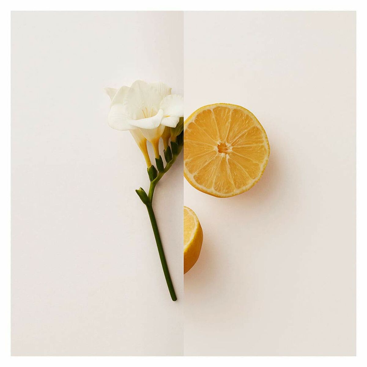 Women's Perfume Burberry My Burberry EDPBeauty, Perfumes and fragrancesBurberrySTIILI