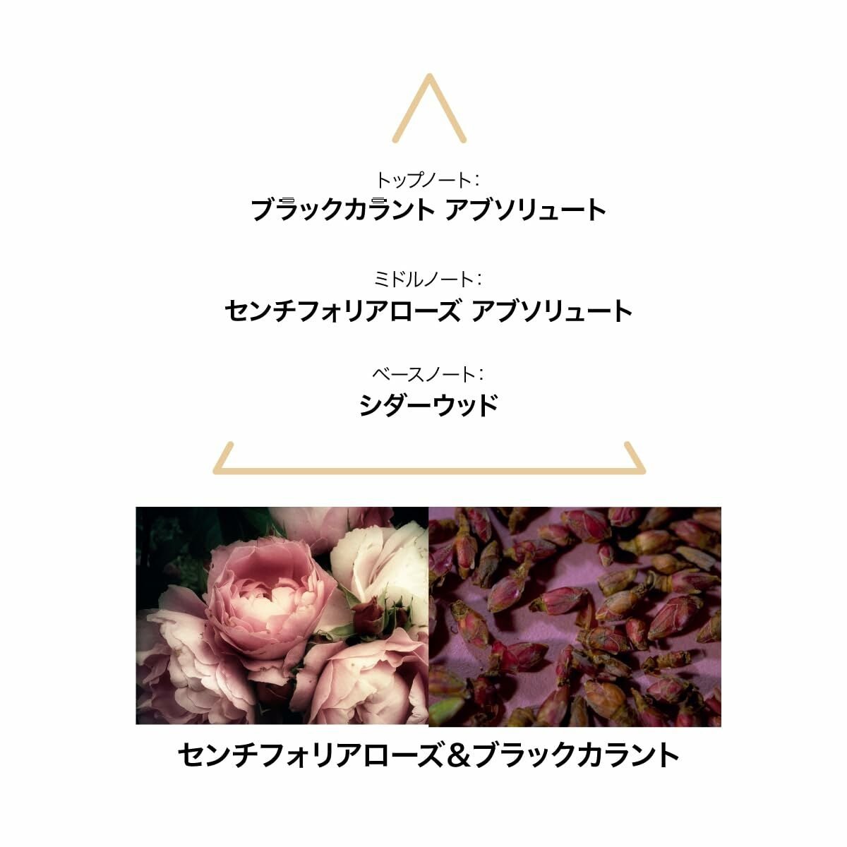 Women's Perfume Le Couvent des Minimes EDPBeauty, Perfumes and fragrancesLe Couvent des MinimesSTIILI