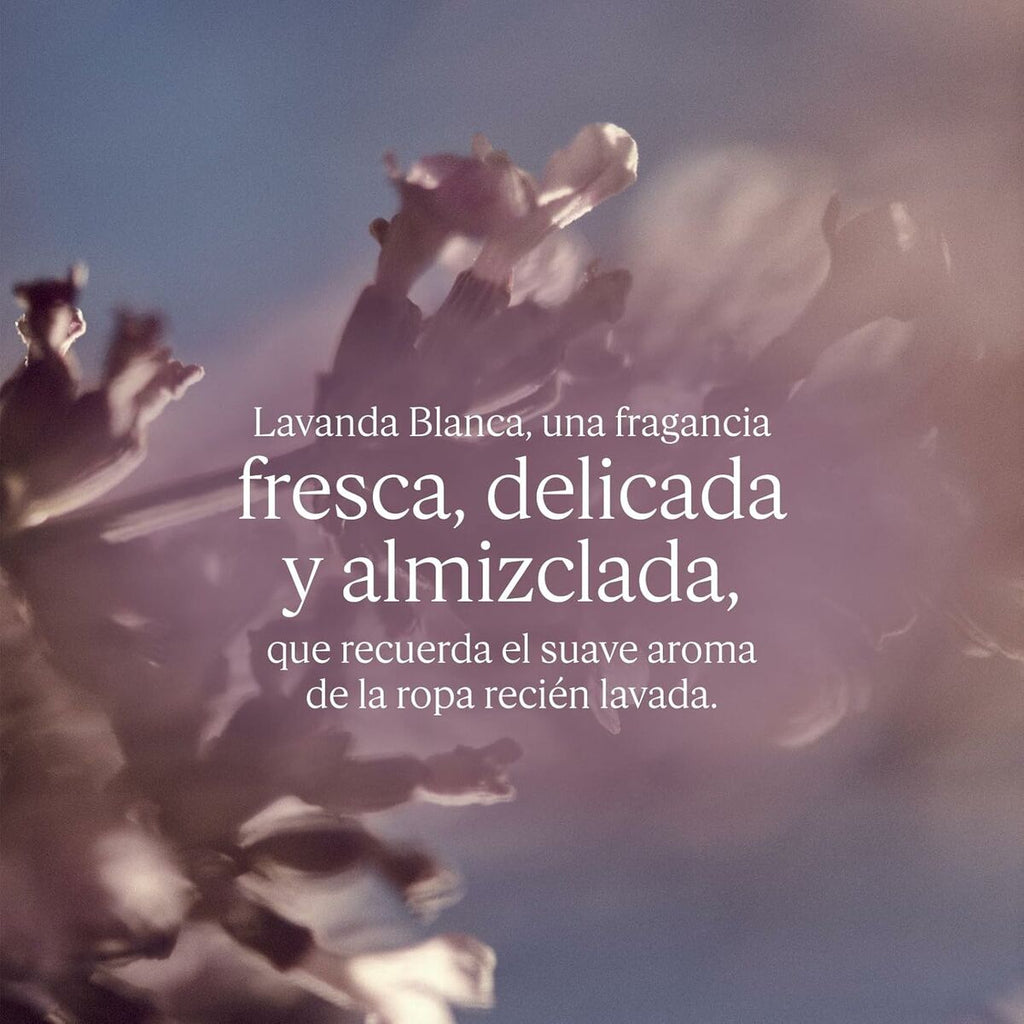 Women's Perfume L'Occitane En Provence LAVANDE 50 mlBeauty, Perfumes and fragrancesL'Occitane En ProvenceSTIILI