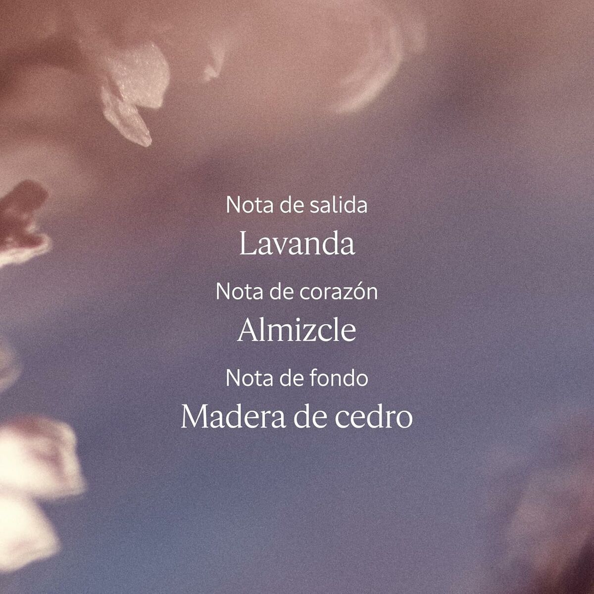 Women's Perfume L'Occitane En Provence LAVANDE 50 mlBeauty, Perfumes and fragrancesL'Occitane En ProvenceSTIILI